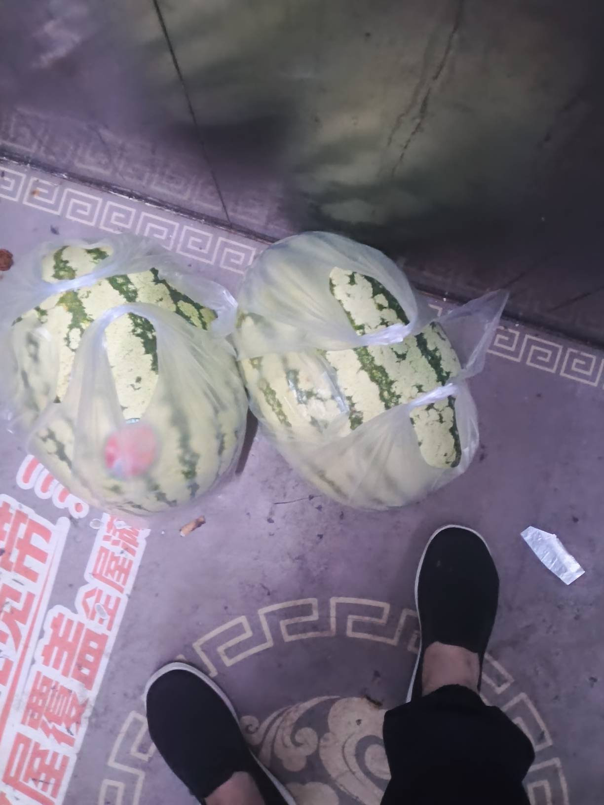 7块钱买了两个大西瓜。今天一天的饭有了。

12 / 作者:你等等我好不好 / 