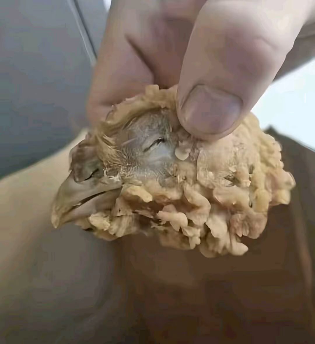 点个华莱士吃出鸡头来:)了恶心


25 / 作者:苏哈哥 / 
