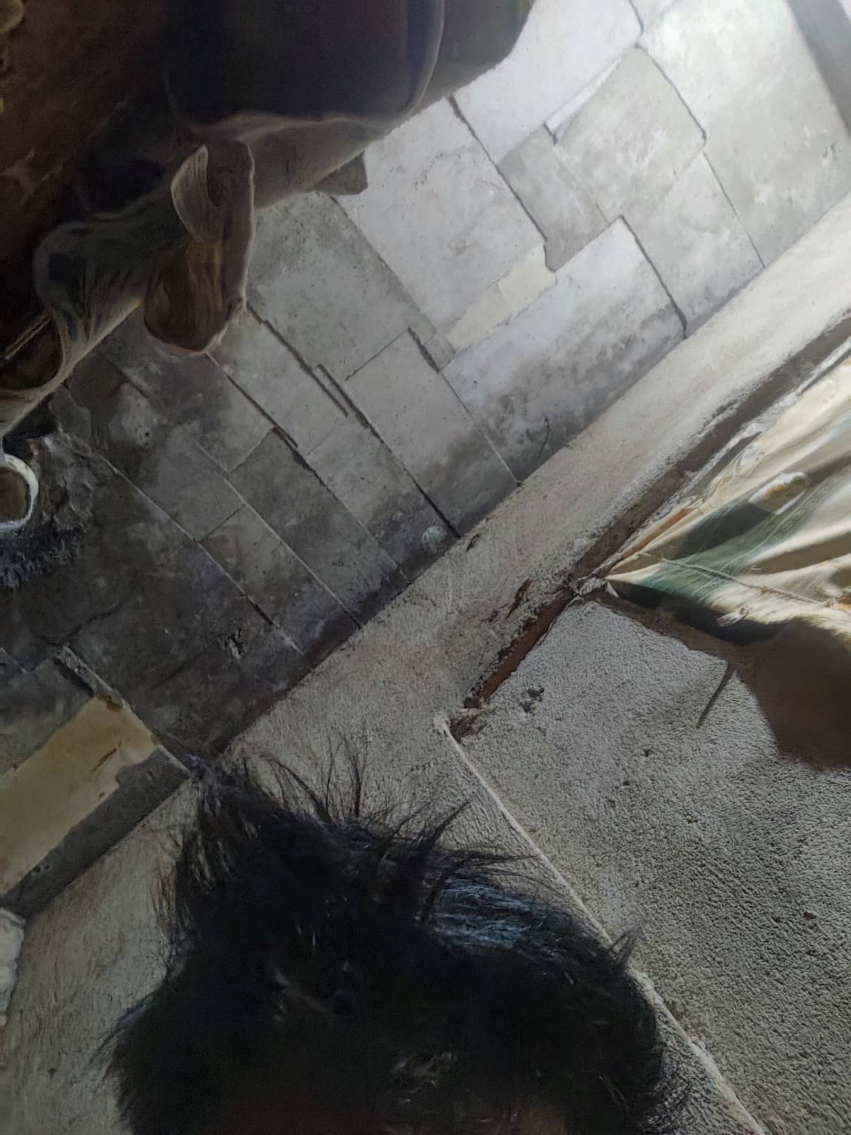 十几天没洗头发了，刚出门买烟被人家老板娘闻到一种怪味是怎么的体验

88 / 作者:卡农最后一位帅哥 / 