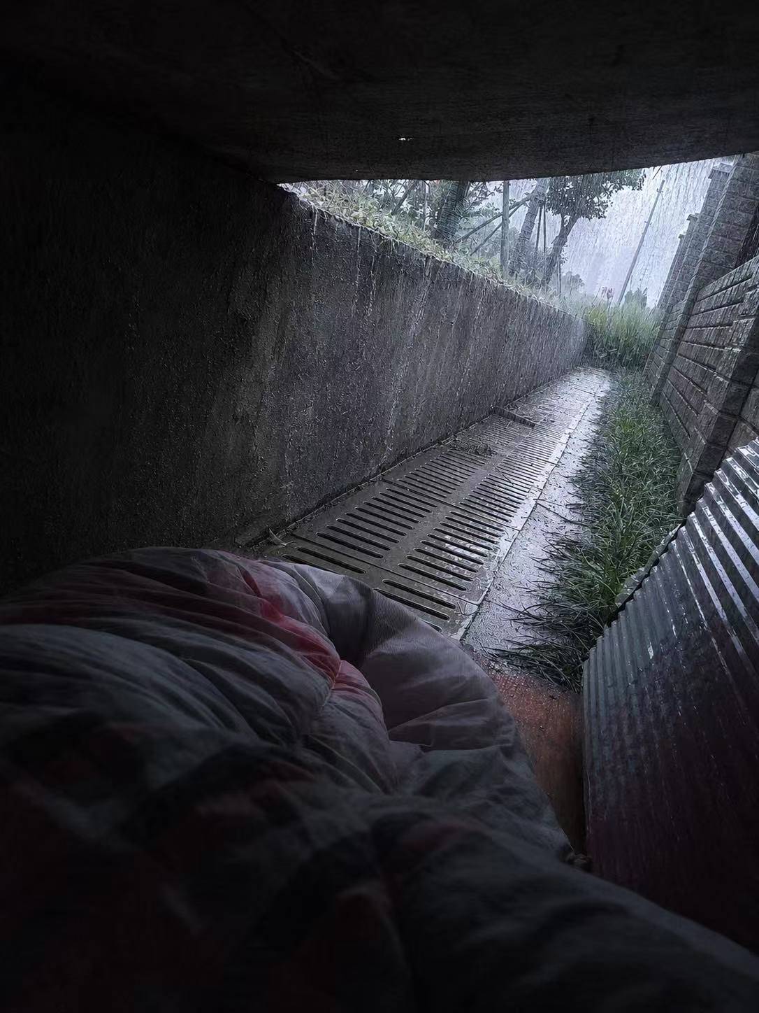 彻底躺下

94 / 作者:广鸡周某人 / 