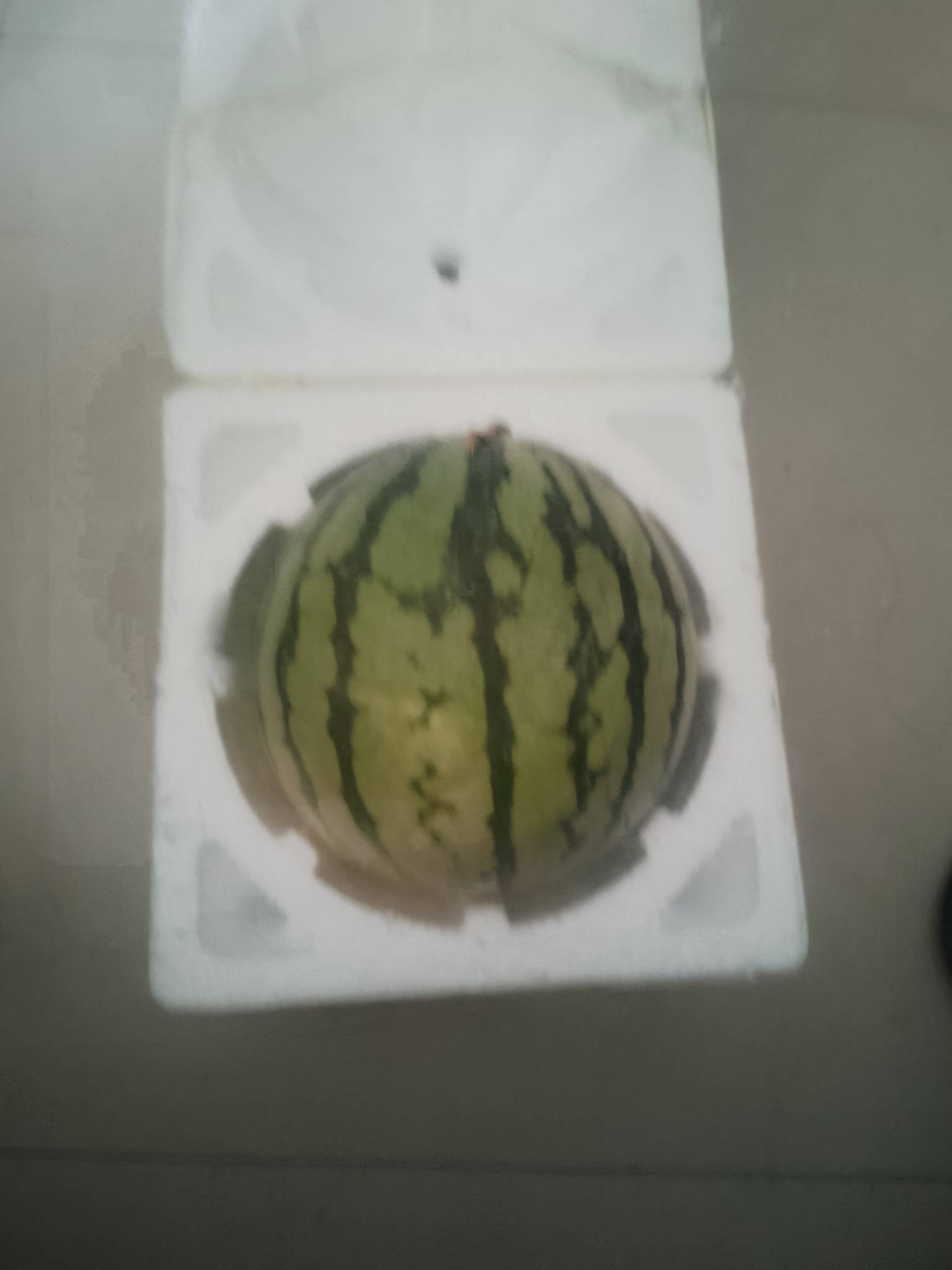 一分钱西瓜到货还有两个在路上

69 / 作者:家乐 / 
