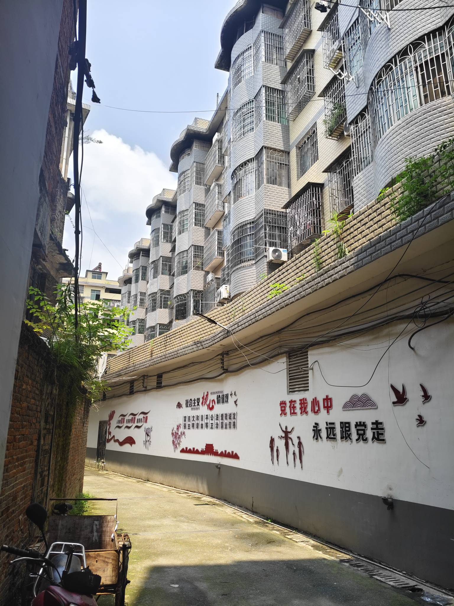 打卡打卡

79 / 作者:雾都平稳的仙茅 / 