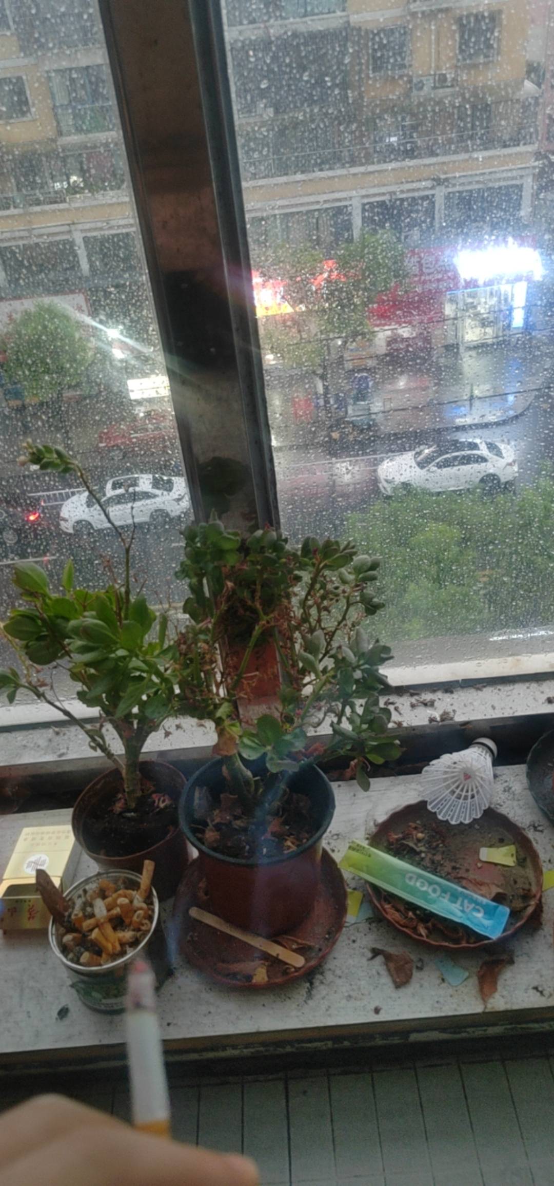 浙江的老哥没被风吹跑吧
61 / 作者:名字真难取啊 / 