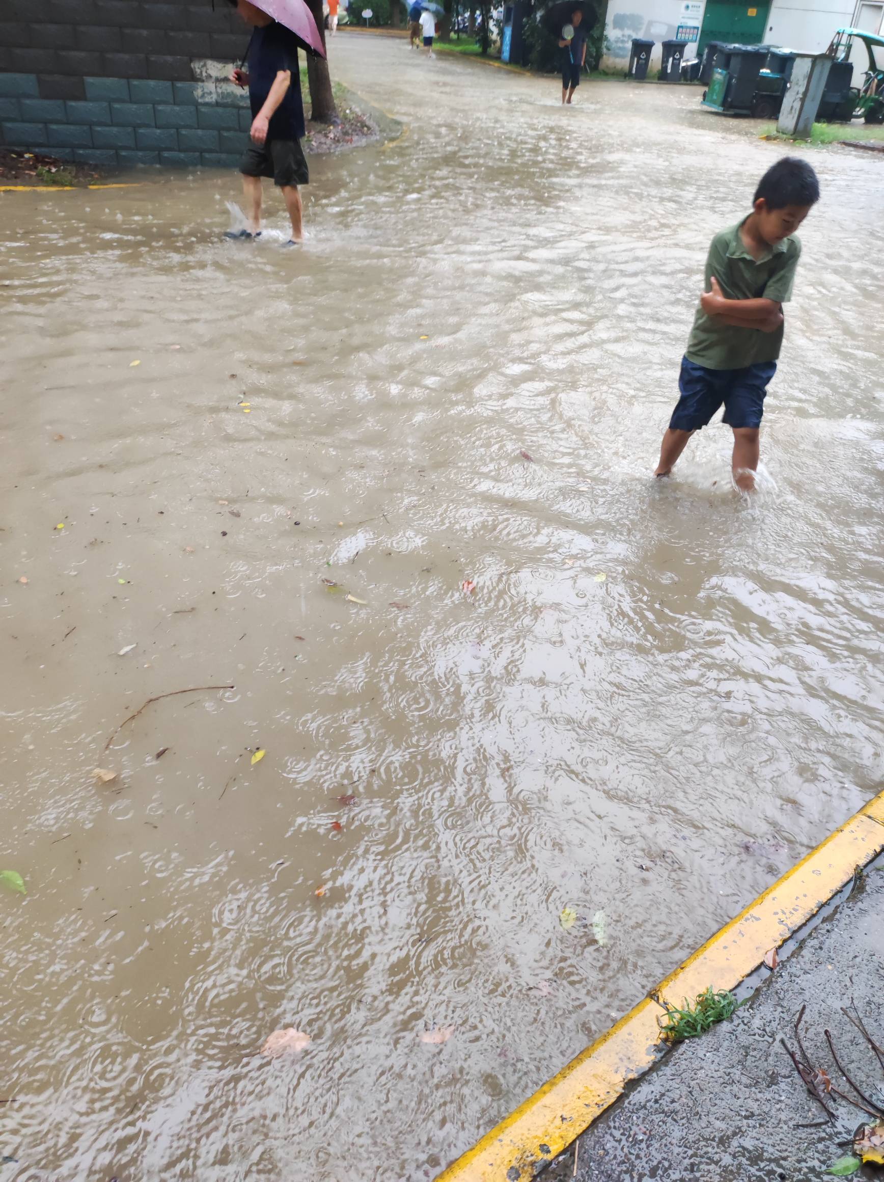 本来说去干活的，一看这么大雨怎么去啊？人活一辈子不容易，别委屈自己了，天太热不去53 / 作者:摇摆的苏丹 / 