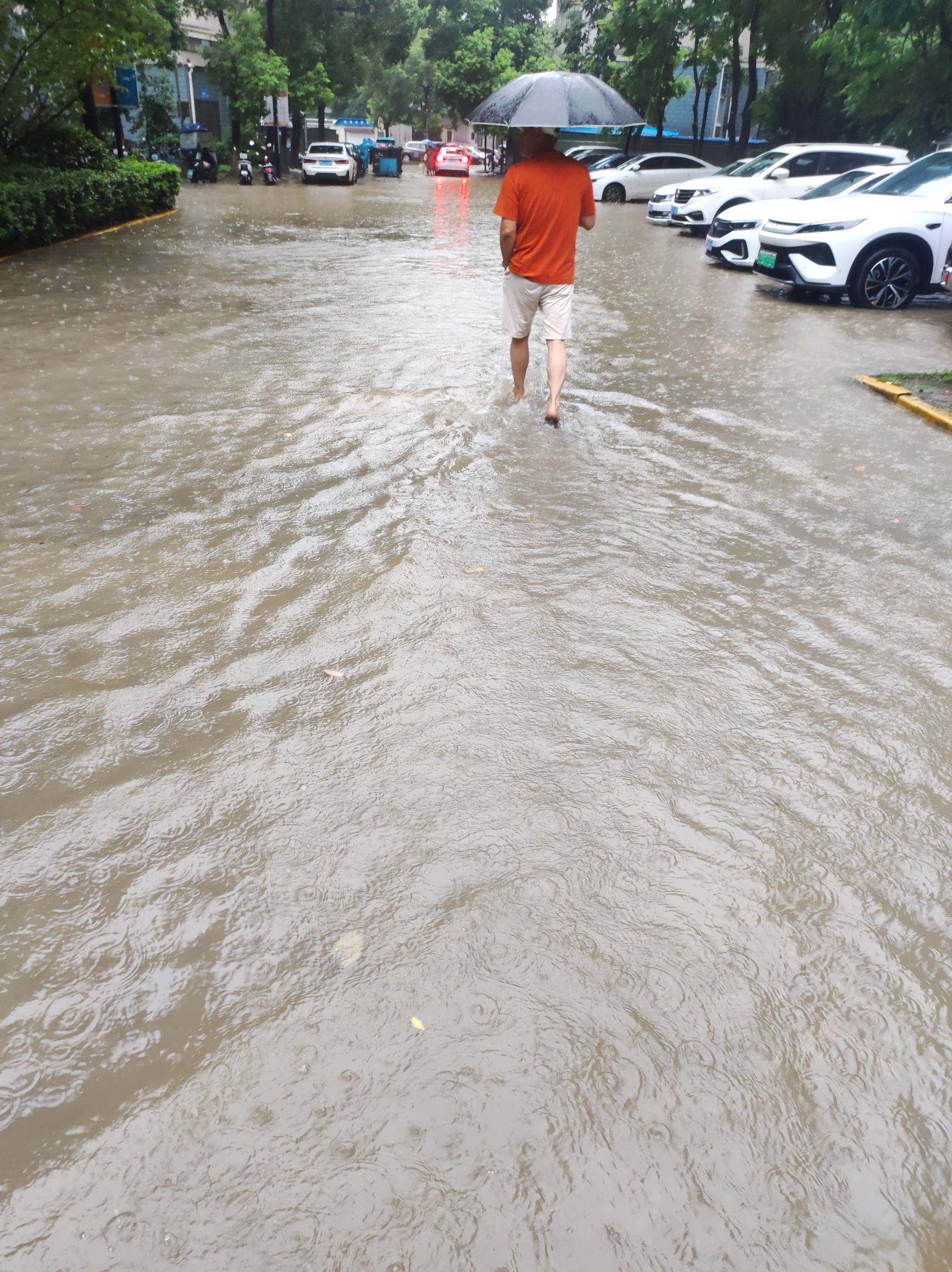 本来说去干活的，一看这么大雨怎么去啊？人活一辈子不容易，别委屈自己了，天太热不去61 / 作者:摇摆的苏丹 / 