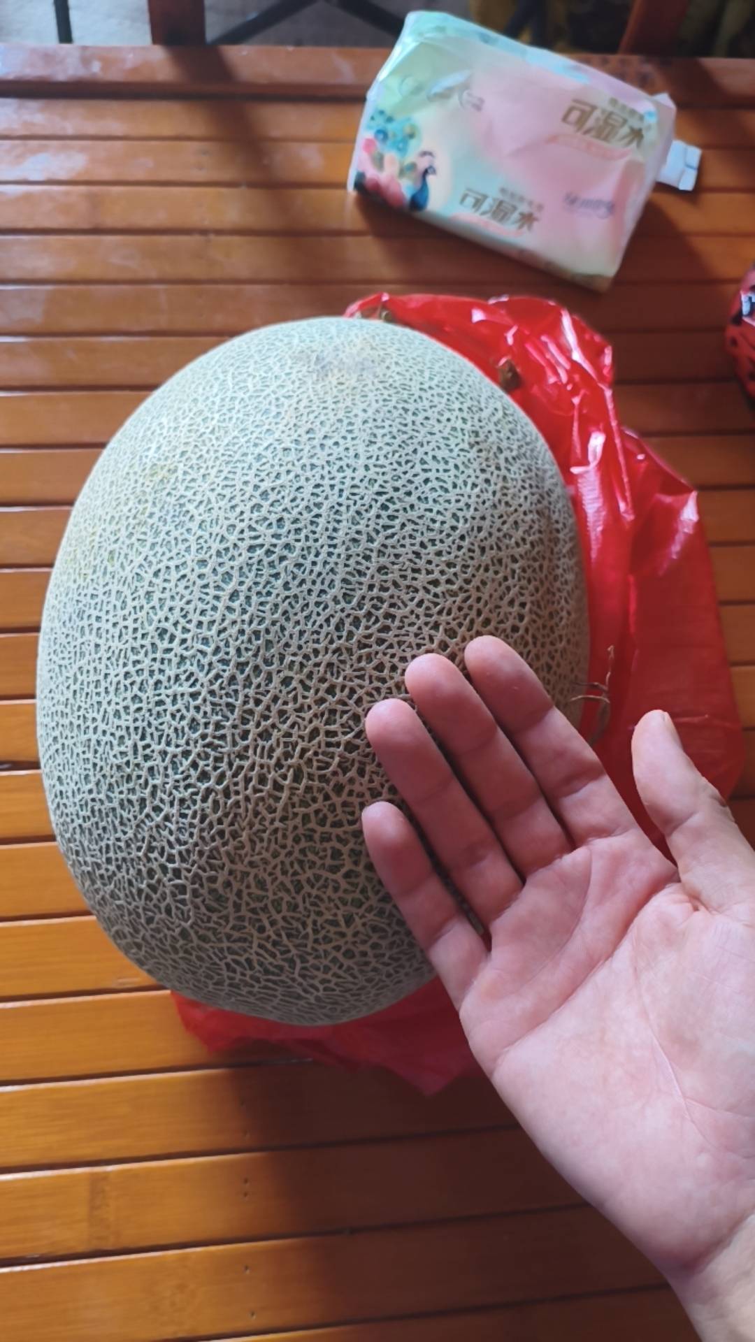 倒下了，回归羊毛广子社区

53 / 作者:永恒yi / 
