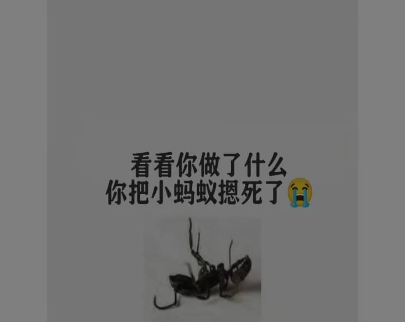 哈哈，来晚了59还有18毛

90 / 作者:平安是福me / 