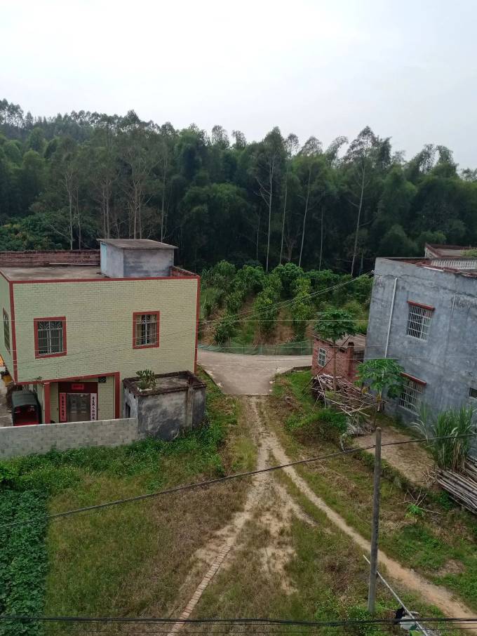 老哥们一个人在家真爽，睡到自然醒，广东流水线飞机拉真干不了，不如在家种种地，家里65 / 作者:颓然的时钟 / 