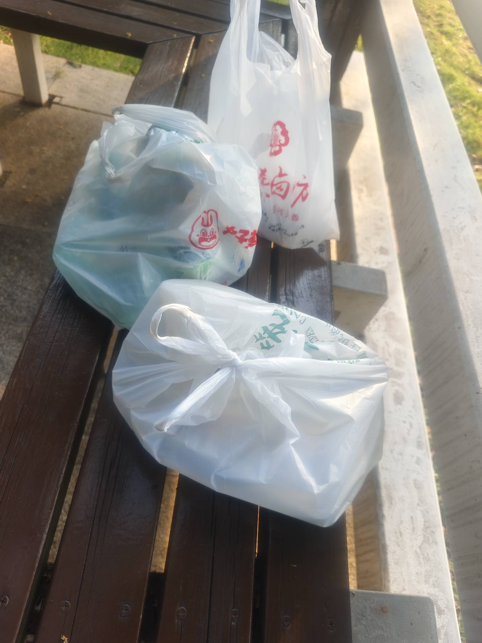 再次瘫痪公园，不知道是第几次了，看了一天的广子，鲁了50毛，买了热菜和凉菜，啤酒，64 / 作者:红菜苔 / 
