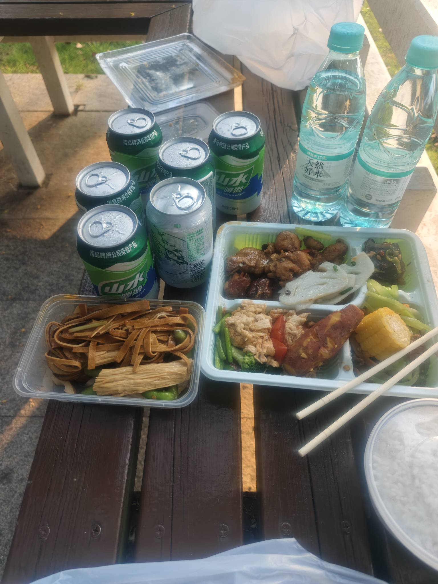 再次瘫痪公园，不知道是第几次了，看了一天的广子，鲁了50毛，买了热菜和凉菜，啤酒，14 / 作者:红菜苔 / 