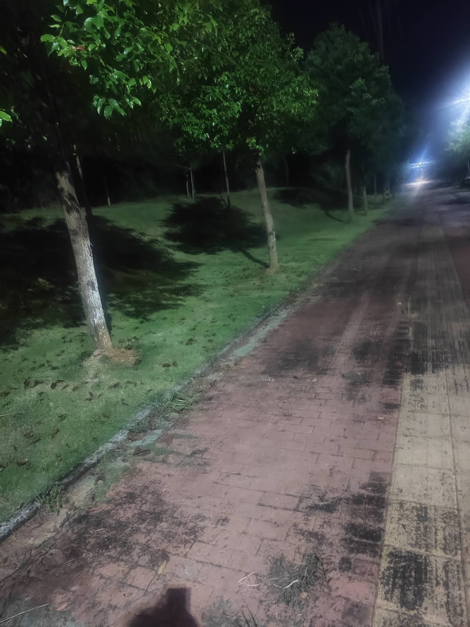 今晚要瘫痪大马路了，看广子鲁了50毛，吃吃喝喝花了45毛，一会到去年瘫痪过一次的地下85 / 作者:红菜苔 / 