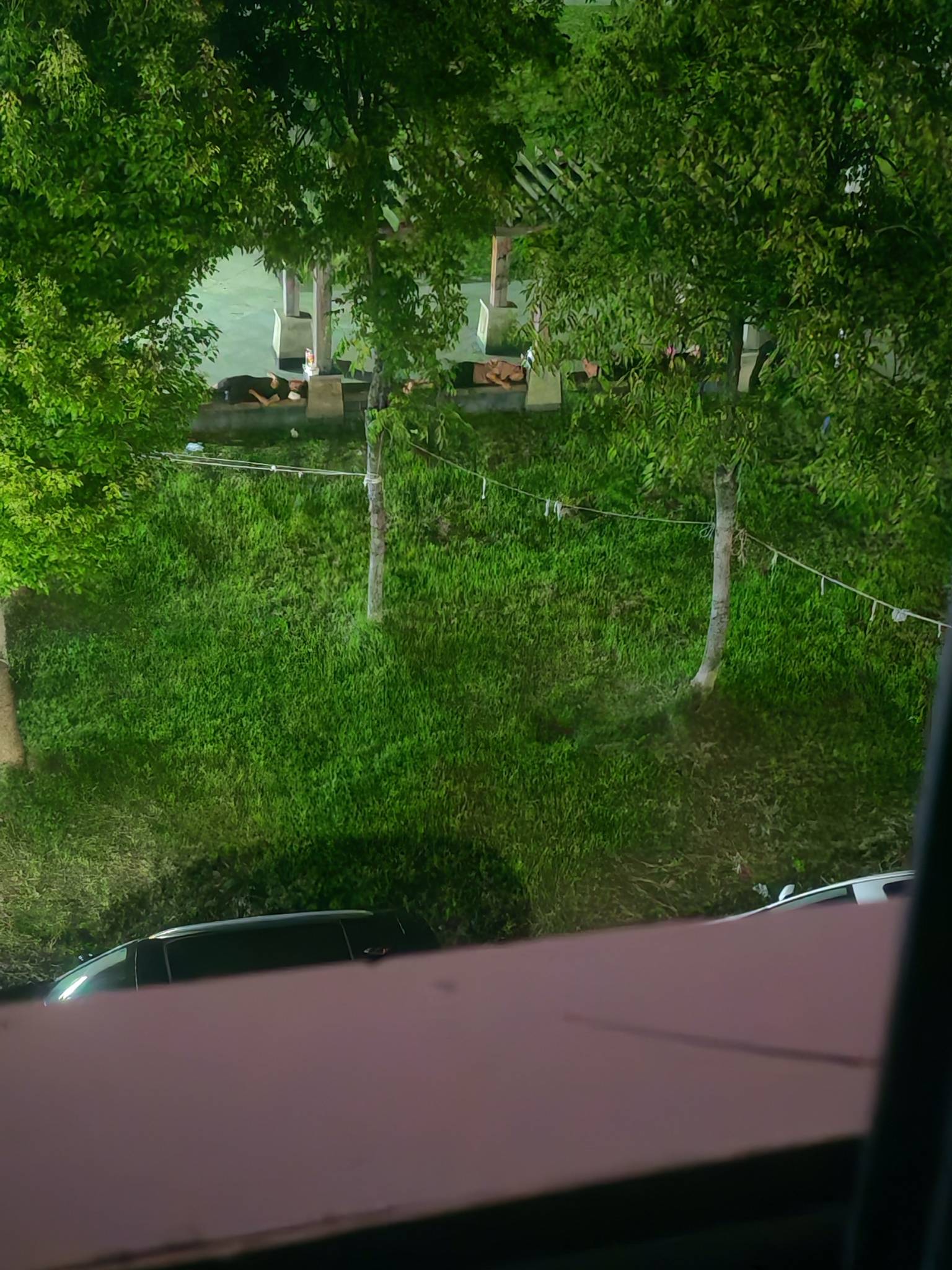 老哥们可真会选

26 / 作者:旅途11 / 