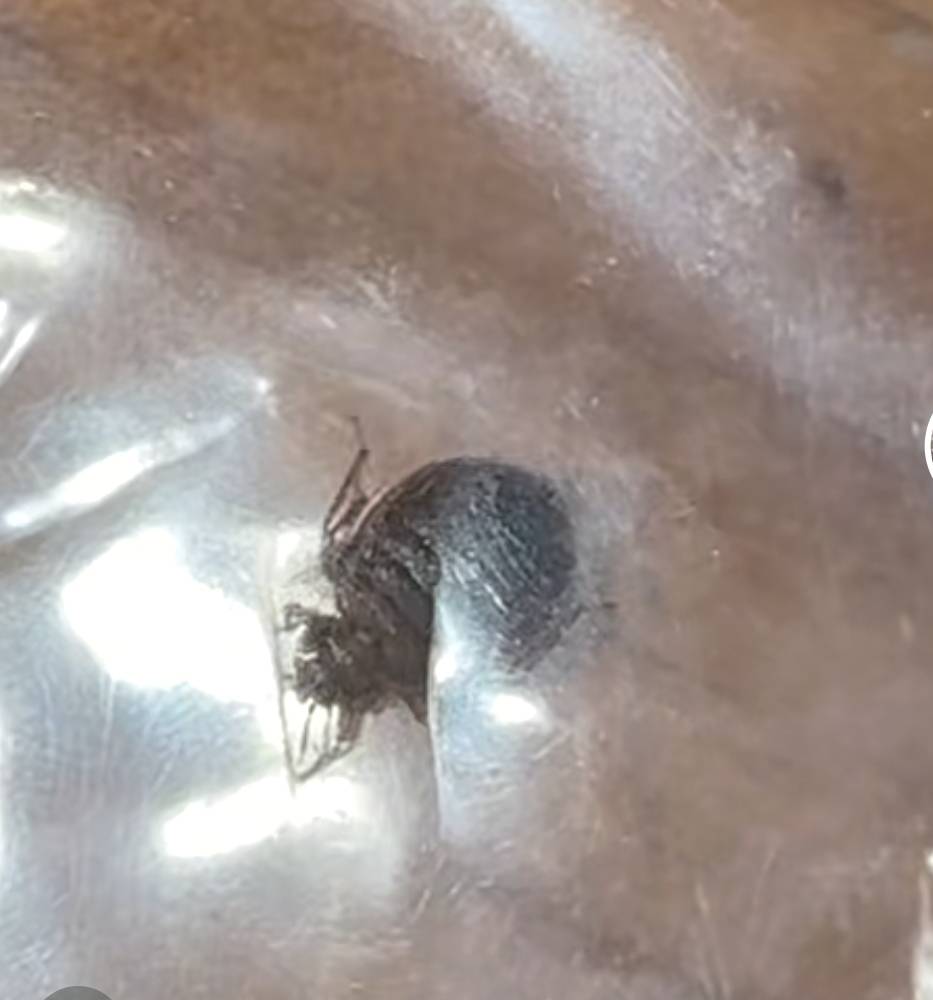 老哥们，这玩意儿熟悉吗

听说全国都有了

10 / 作者:　vhhhfdxg / 