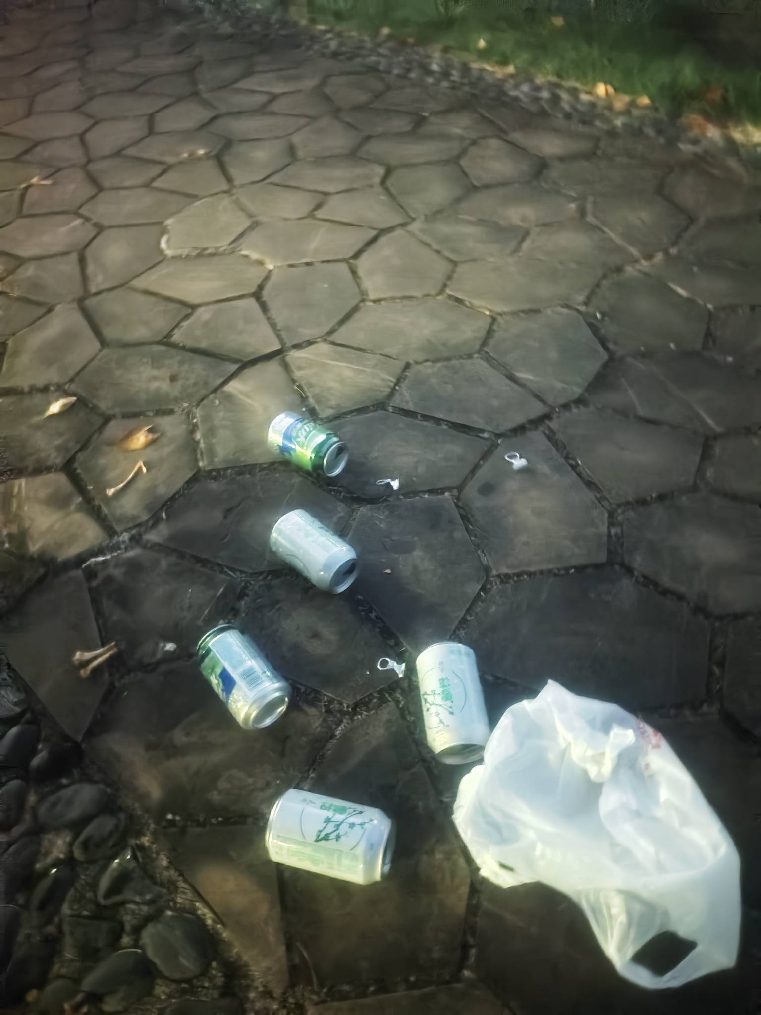 吃完喝完，夜漫漫，老根们，人生就是一个过程，体验完些短短几十年就灰飞烟灭，所以该37 / 作者:红菜苔 / 