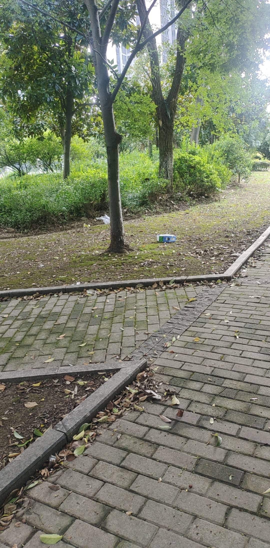 看到老哥发挂壁的地方，我也发下我挂壁的地方，目前在在这里挂壁了一年多了，其他还好42 / 作者:nncncn / 