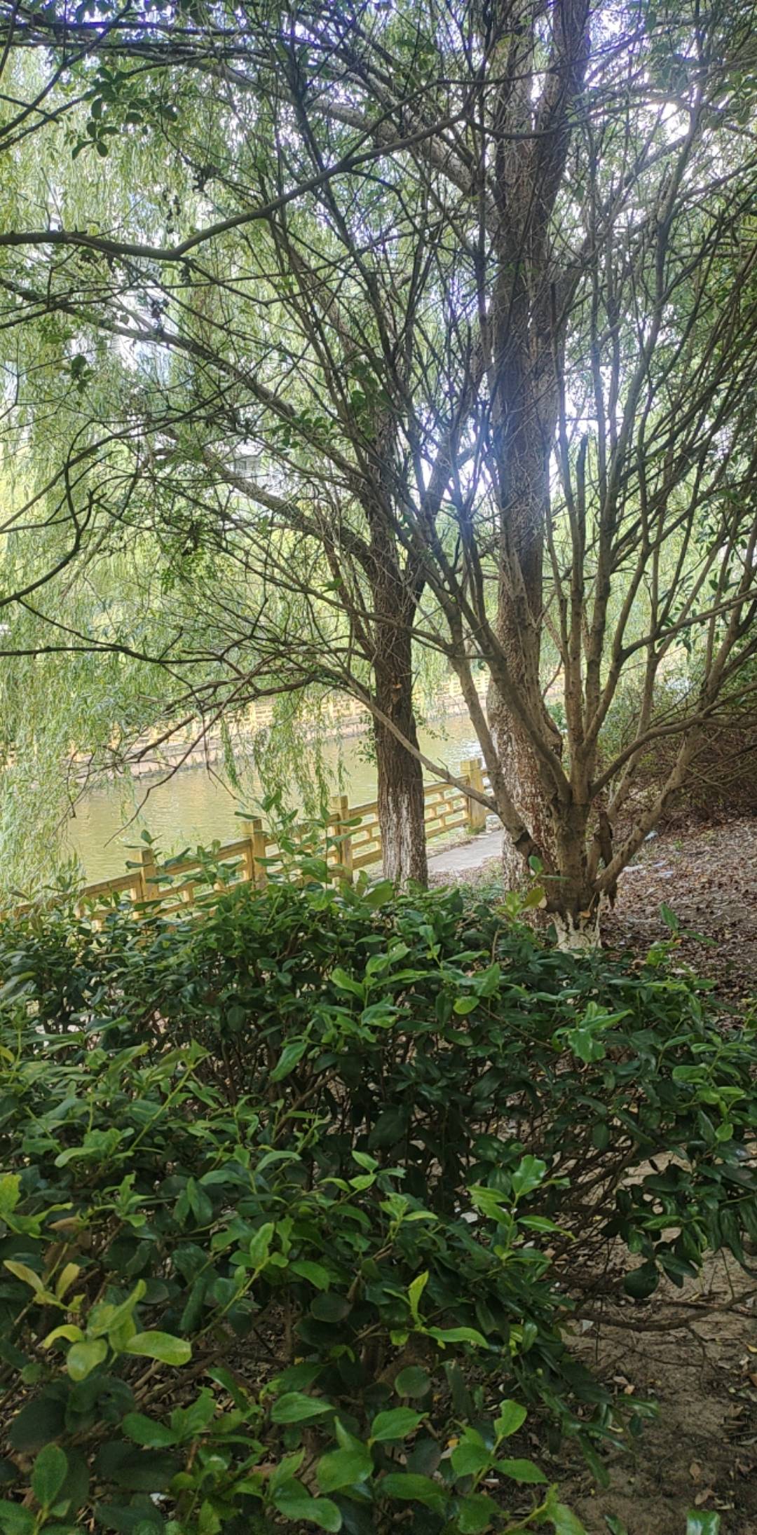 看到老哥发挂壁的地方，我也发下我挂壁的地方，目前在在这里挂壁了一年多了，其他还好31 / 作者:nncncn / 