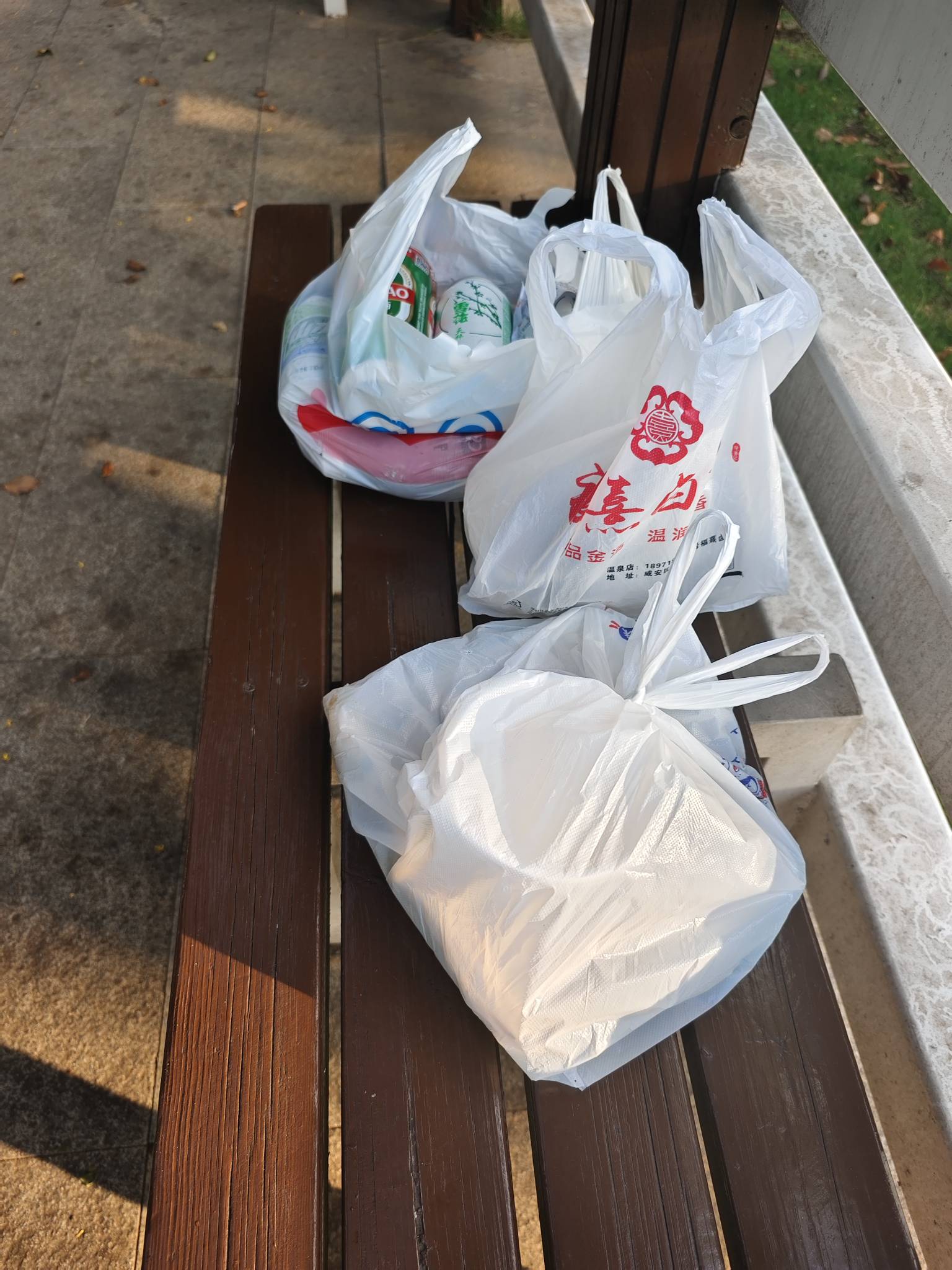 瘫痪公园第十天，看了一天的广子，鲁了60毛，买了热菜和凉菜，啤酒和挂壁快乐水，花了98 / 作者:红菜苔 / 