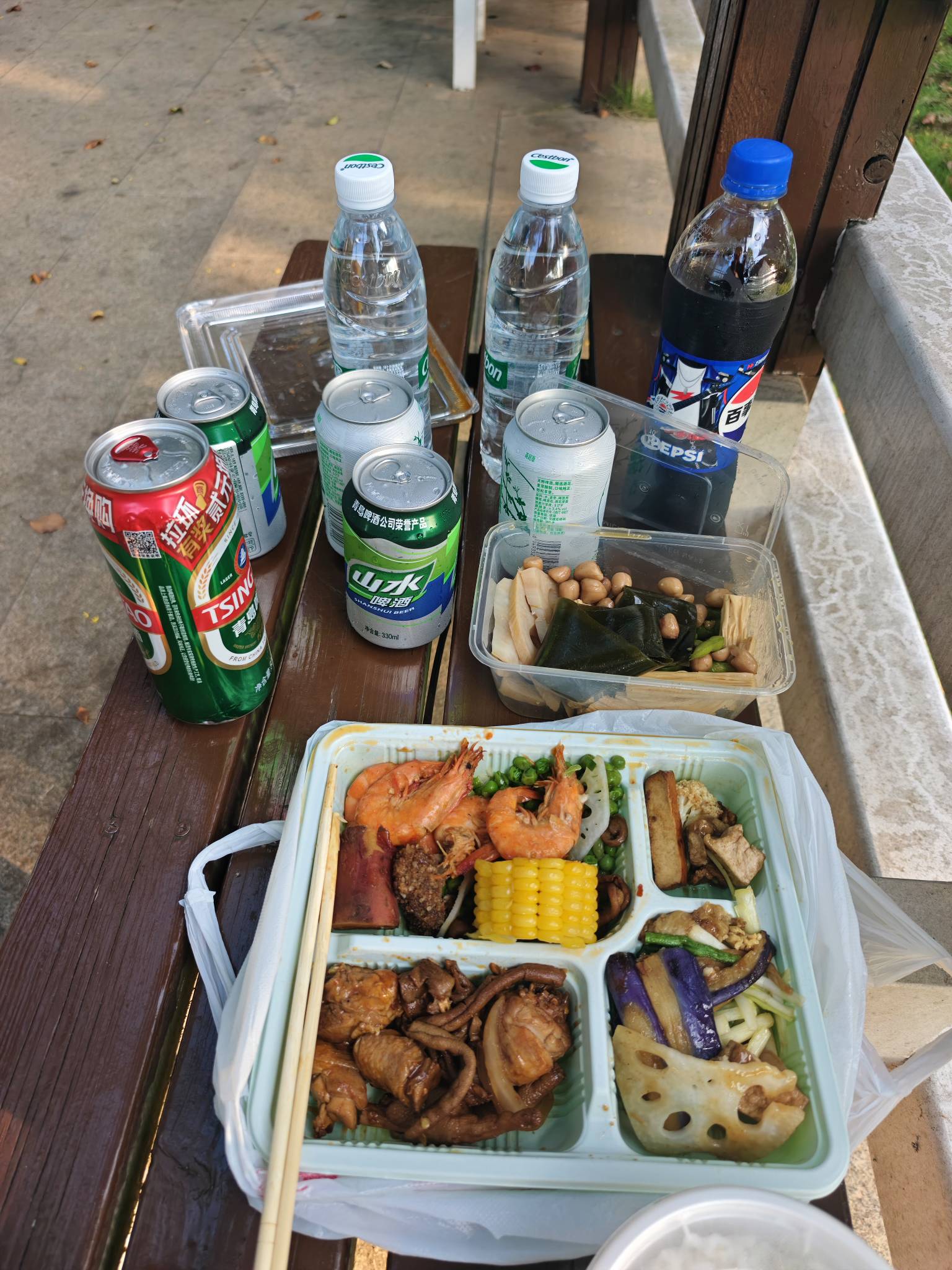 瘫痪公园第十天，看了一天的广子，鲁了60毛，买了热菜和凉菜，啤酒和挂壁快乐水，花了98 / 作者:红菜苔 / 