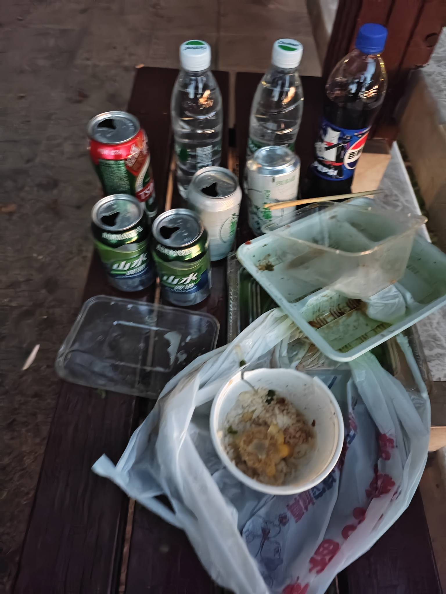 天黑了，好多人在附近烧纸啊
吃完喝完，点个蚊香，今晚就瘫痪公园了
瘫痪公园第十天

12 / 作者:红菜苔 / 