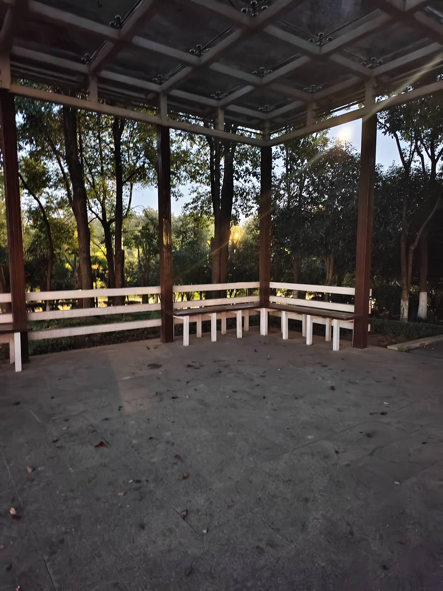 天黑了，好多人在附近烧纸啊
吃完喝完，点个蚊香，今晚就瘫痪公园了
瘫痪公园第十天

86 / 作者:红菜苔 / 