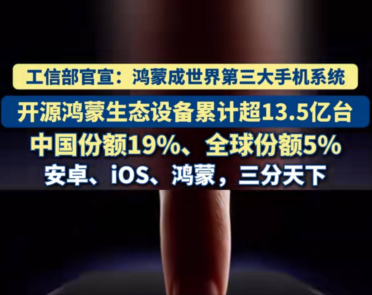 华为负一屏还没申请死？ 13亿 就算几百万人申请 也遭不住

12 / 作者:zvm1 / 