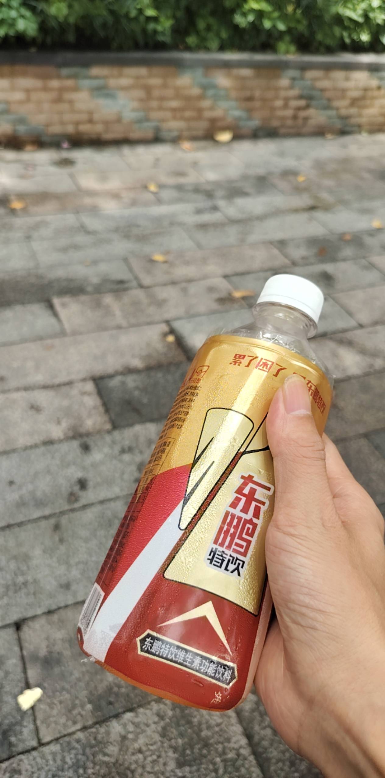 烦死 没烟抽了，出个冒冒认证


78 / 作者:神奇牛魔王 / 
