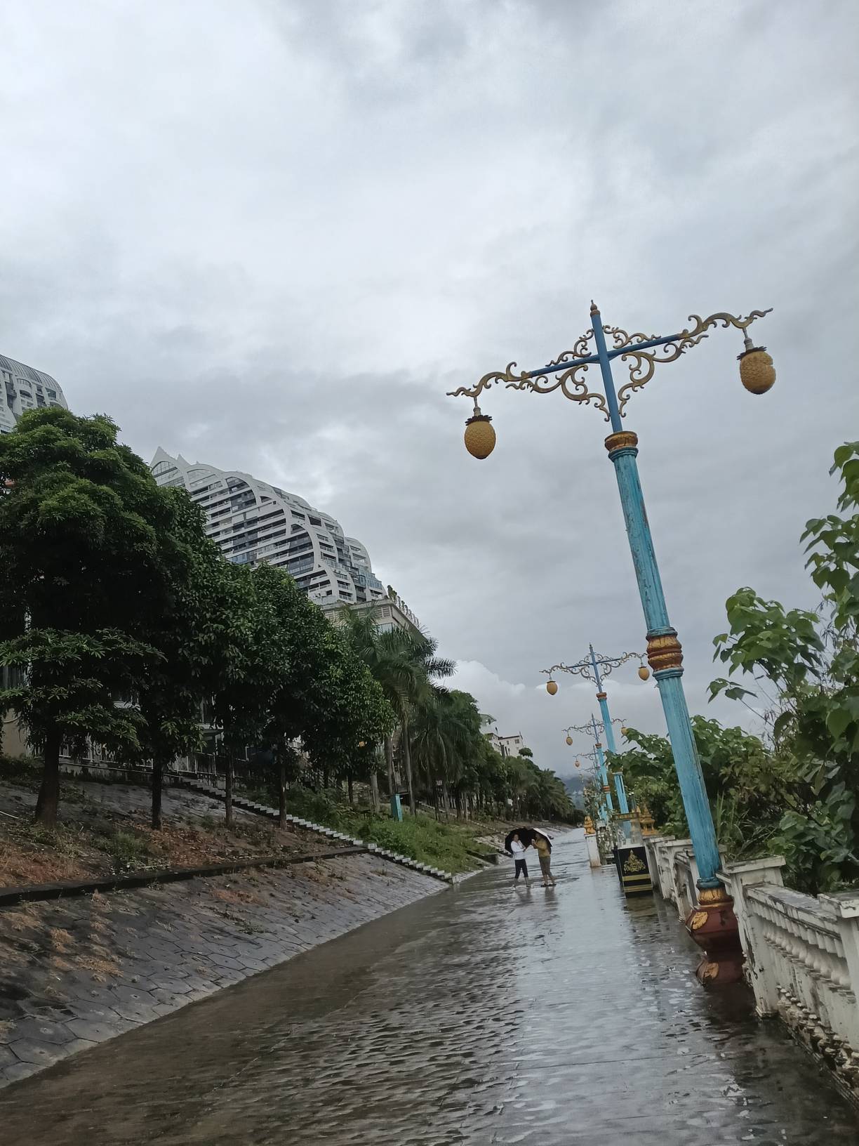 出来呼吸一下新鲜空气，天天出租屋呆着要闷死了



63 / 作者:一条小麻蛇啊 / 