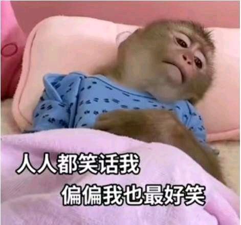 不知道我还能不能顶得住！家里所有的开销，水电费，电话费，燃气费，车贷，房贷都是我83 / 作者:巴斯特的歌谣 / 