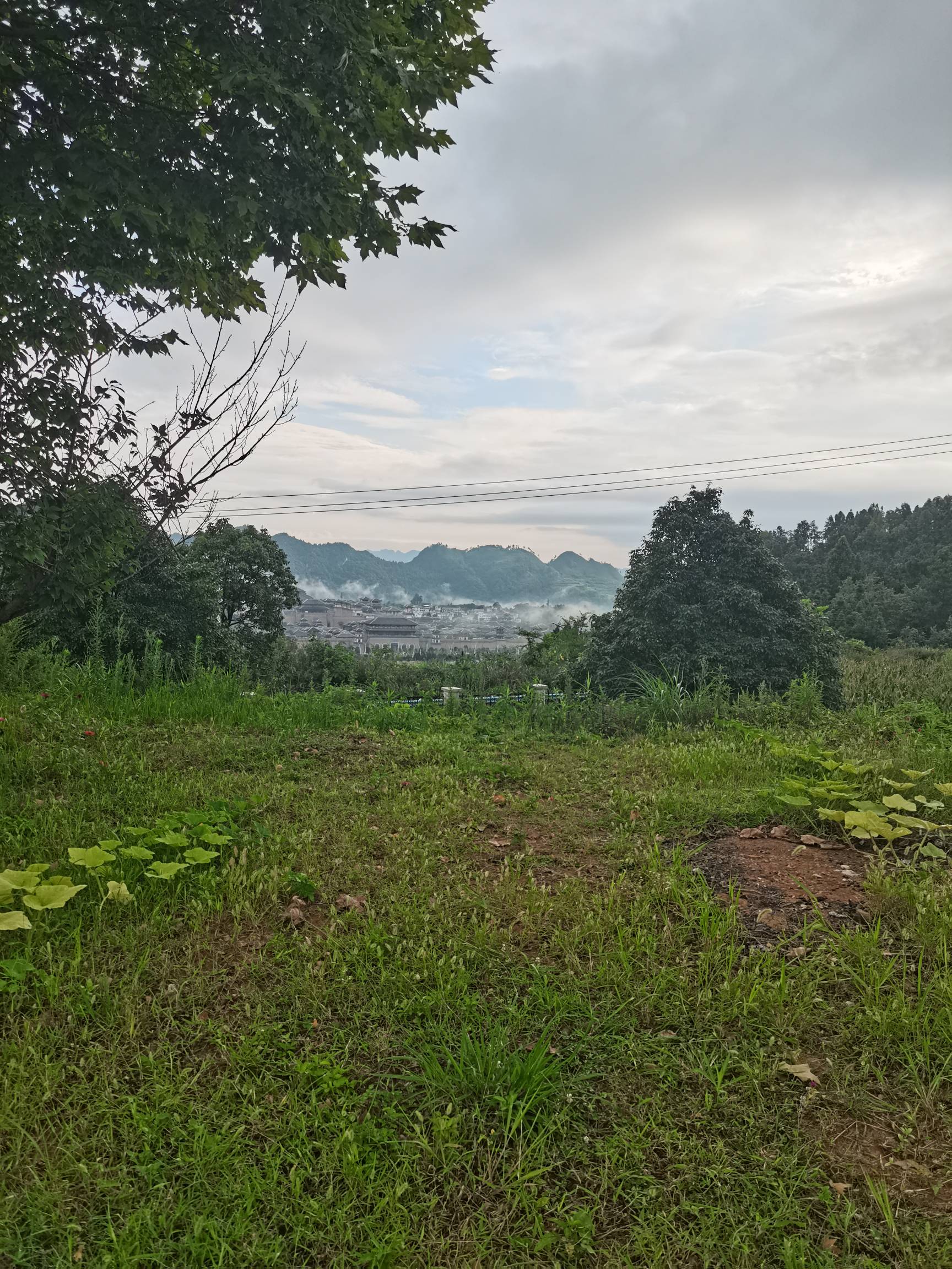 老哥们老姐们，我到了！


9 / 作者:风中之神-聂风 / 