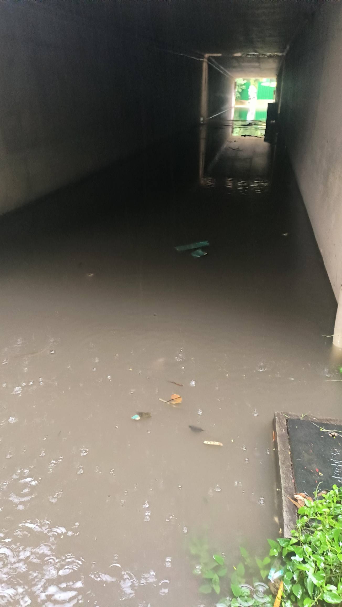 下雨了，我的家被淹了

57 / 作者:老哥们丨 / 