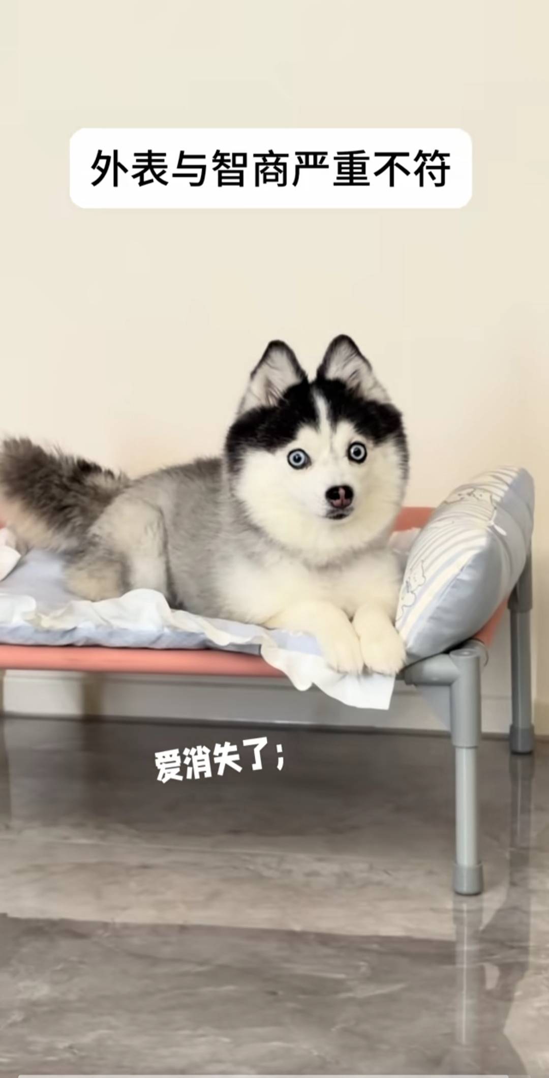宿迁农行砸金蛋人人八元


24 / 作者:平安是福me / 
