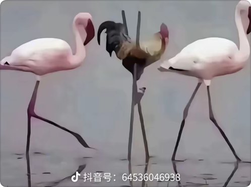 打卡

65 / 作者:大力水手皮卡丘 / 
