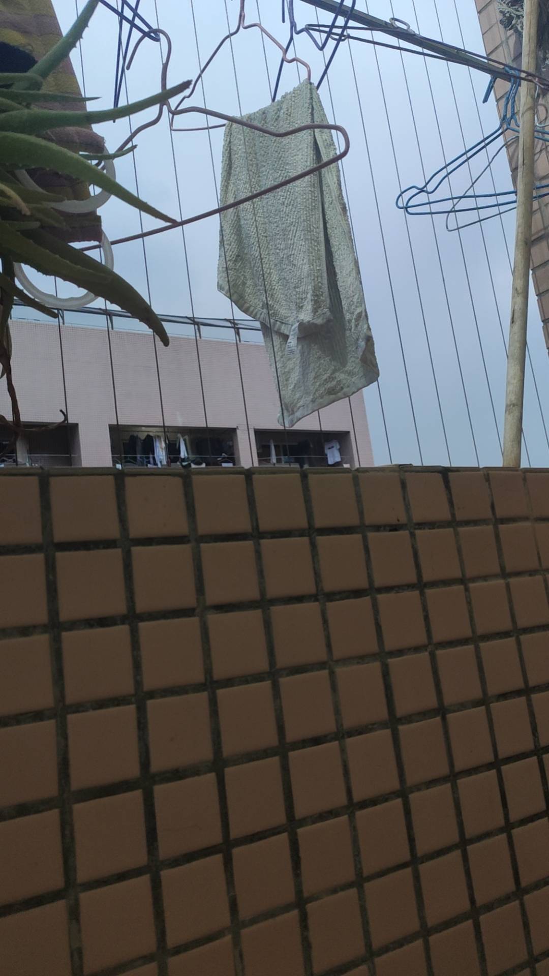 铁门啊铁窗啊铁锁链

74 / 作者:云边有个挂壁仔 / 
