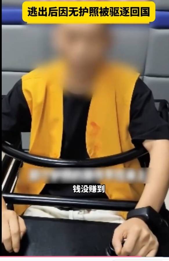 前段时间很火的野鸡人头广万象没动静了，原来是万象群里那个管理被押送回国了，万象群93 / 作者:规模的卡存款 / 
