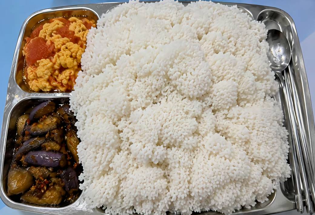 饿了三天顶不住了，去面试了一个厂管了一顿饭


25 / 作者:卡农豆包 / 