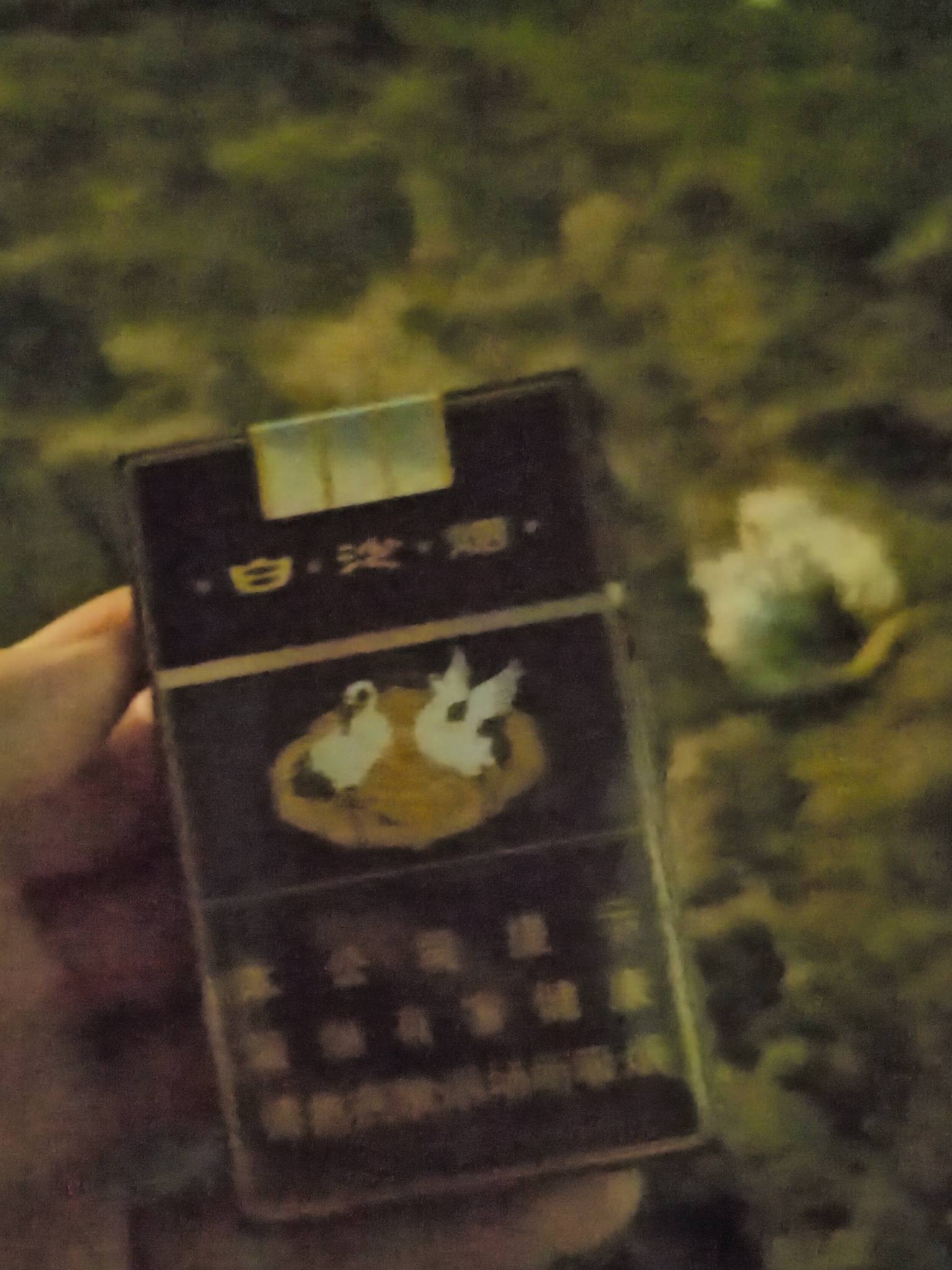 向现实妥协！也像现实低个头。目前一共负债6.5个，所有的起加起来。进工厂打一份工，66 / 作者:5900 / 