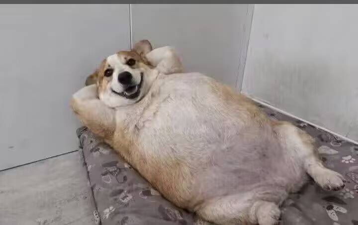 老哥们真猛大妈现在一年就能飞几次，飞了然后还抽个笑脸的老哥是何感受

85 / 作者:塔尼亚75 / 