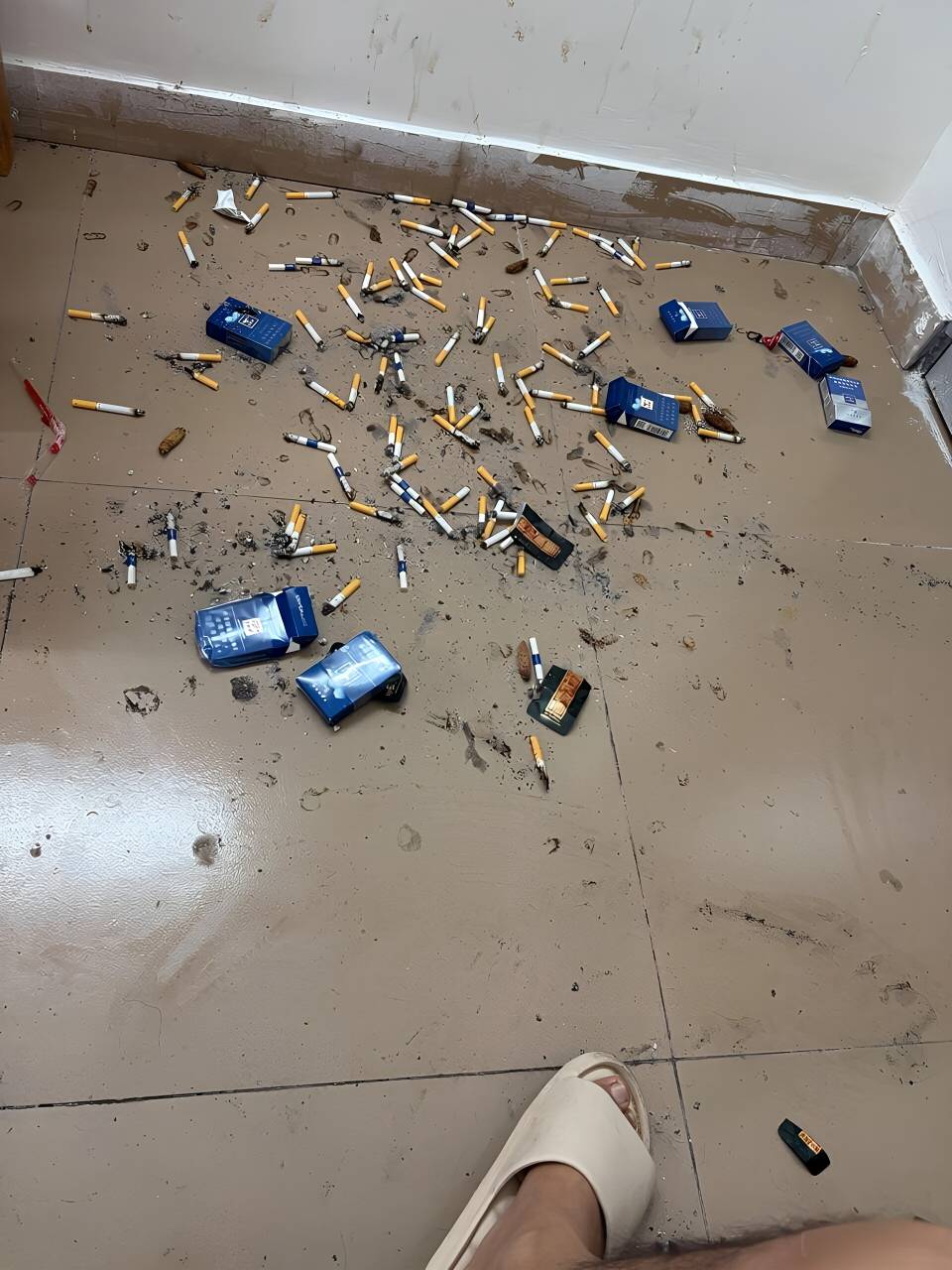 抽了一夜的烟想不明白为啥现在手机猛涨价都没人买了还在涨，人家有钱的肯定买苹果18

96 / 作者:梦回大唐做王爷 / 