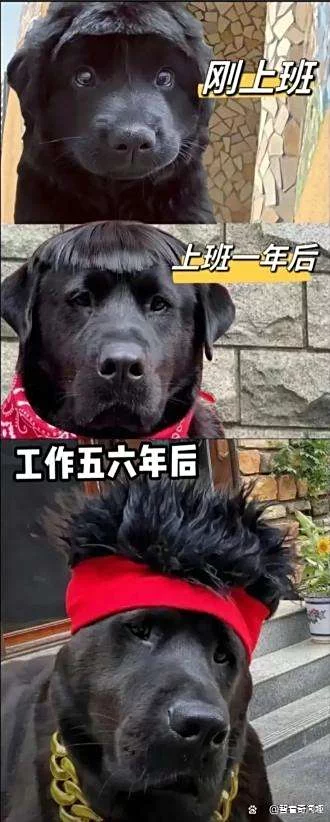 ⁢



十⁢十⁢⁢⁢十


来点人人88的羊毛吧


36 / 作者:戏听清影横笛 / 