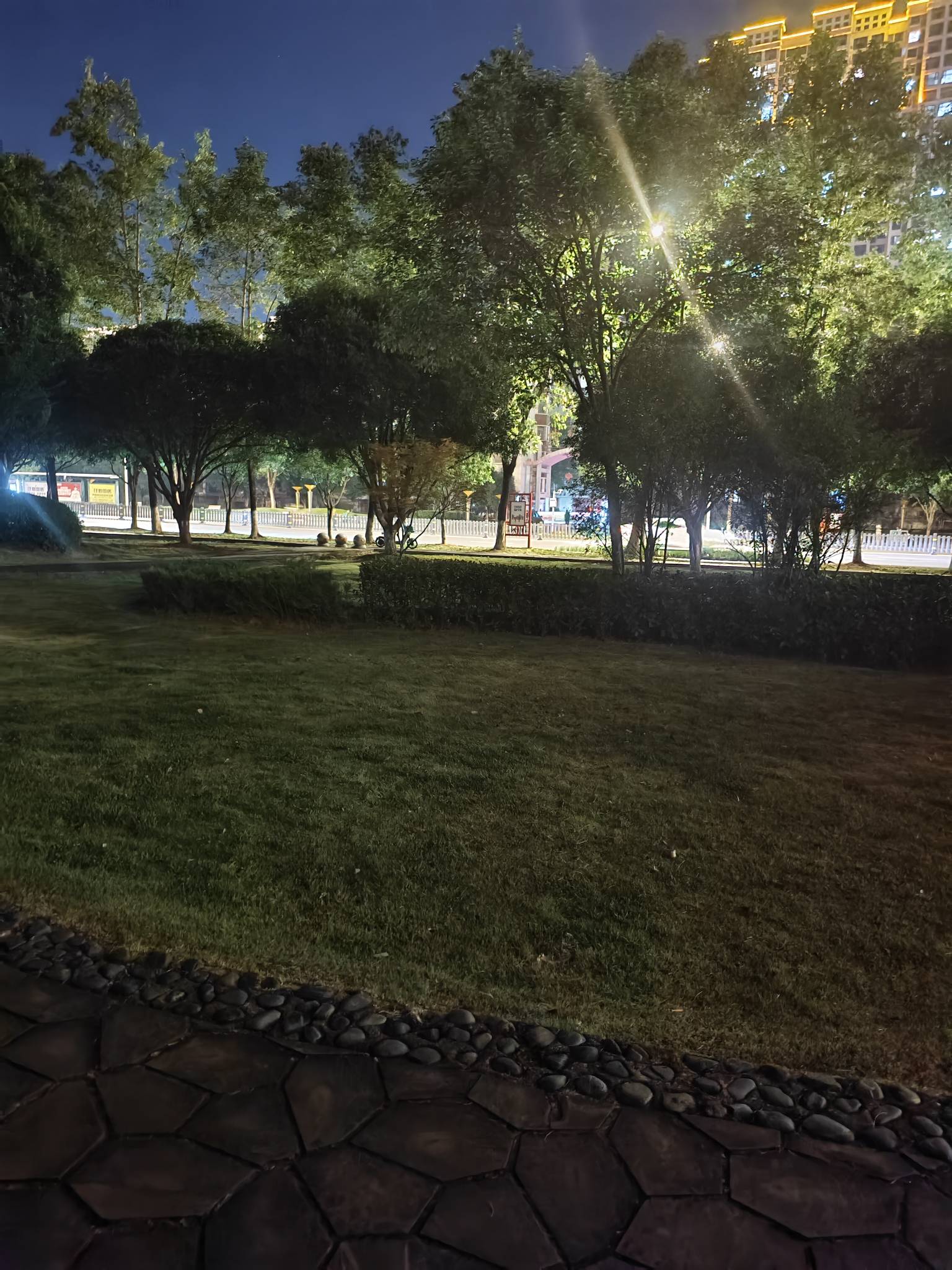 瘫痪公园苍天啊，挂壁仔的明天在哪里


55 / 作者:红菜苔 / 