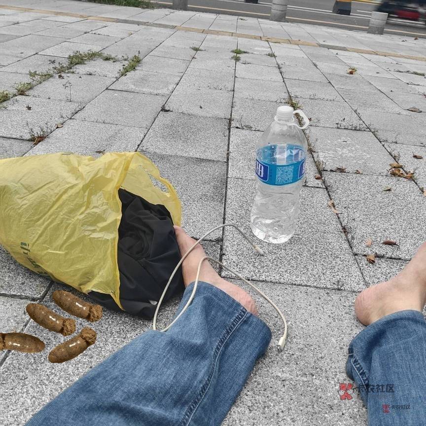 老哥们42了没工作天天盯着羊毛，这样算不算挂壁仔

83 / 作者:奥德彪找香蕉 / 