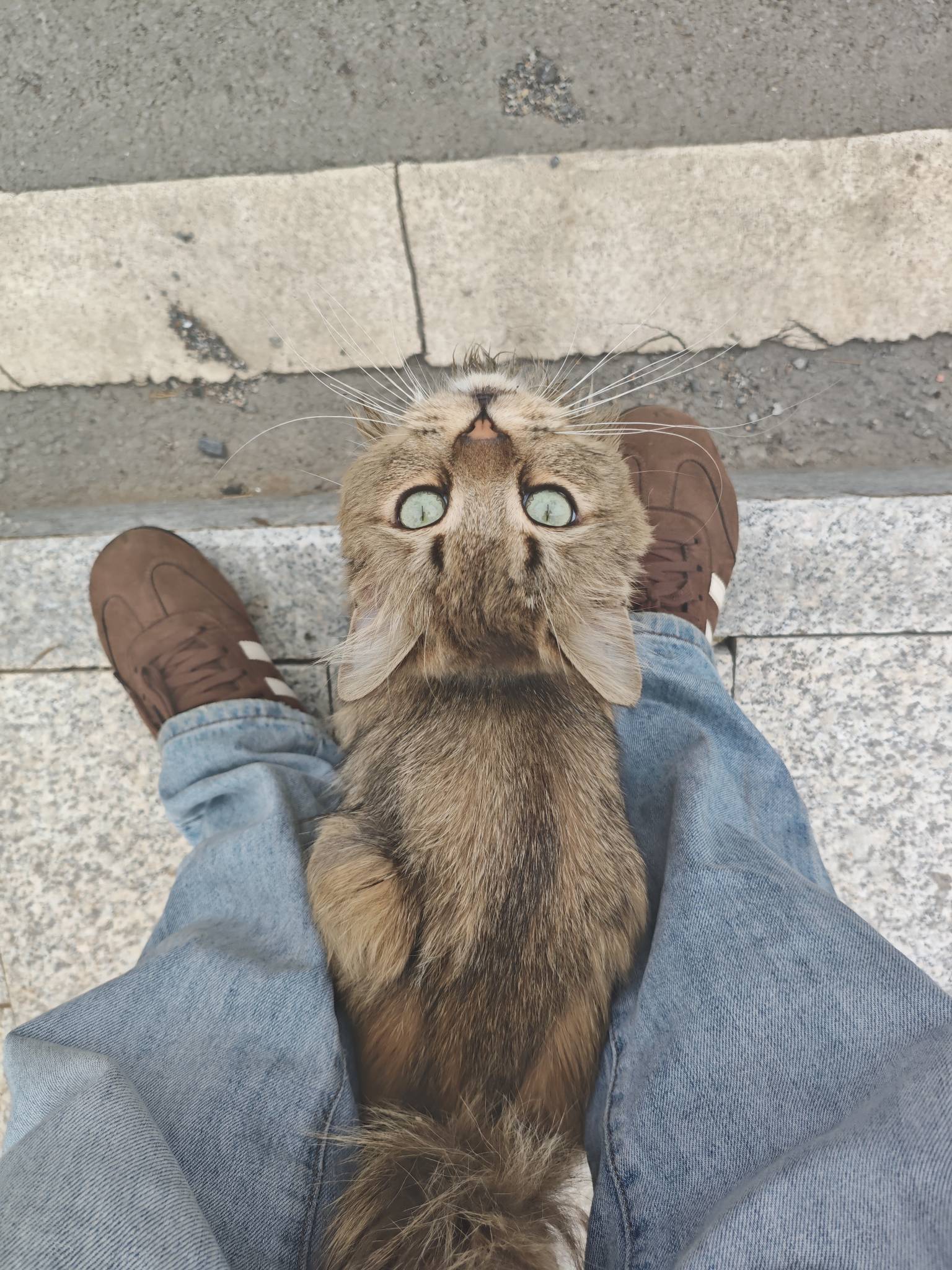 最近发现好多小猫啊，你们要吗老哥们，走鱼




68 / 作者:山西陈冠希 / 
