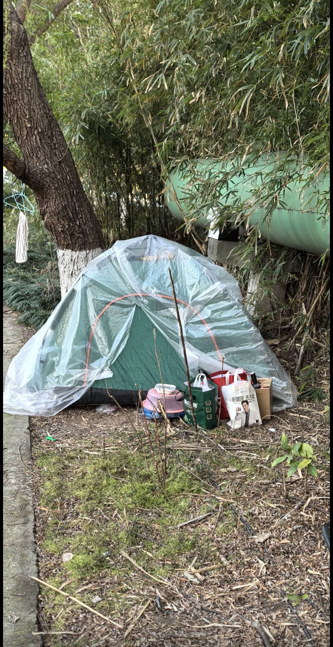 这一页太重了，貌似翻不过去，心里闷闷的，不知道该说什么，一个人漫无头绪的刷着抖音18 / 作者:先天挂逼圣体 / 