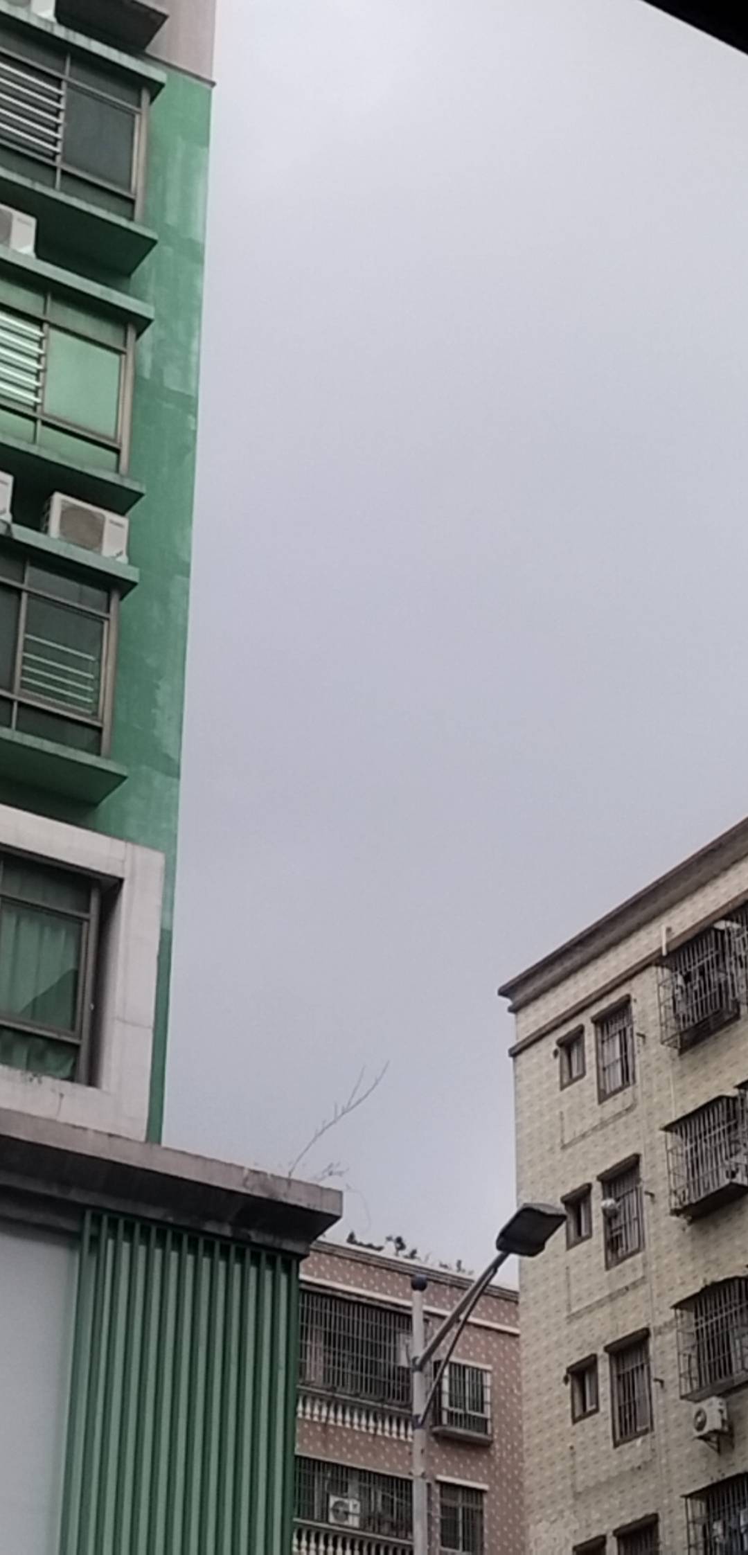绝望了，好不容易等到了天黑，正准备出门捡烟.，这马上又下雨了

86 / 作者:尛•牛•蛮 / 