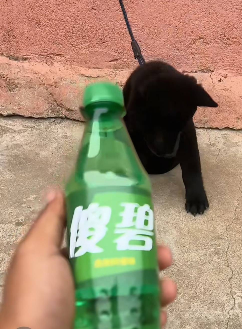 气死了，刚刚注销抖音出15无门槛券一直不符合，花2块多大洋买了塔斯厅还被商家羞辱了
41 / 作者:七月七y / 