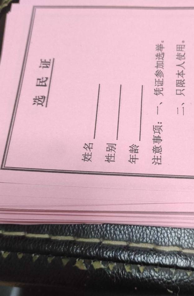 老哥们，村里叫你们回去参加投票了吗，按理说老哥们都是公民，就是这投票不投票的有啥73 / 作者:威武霸气姐 / 