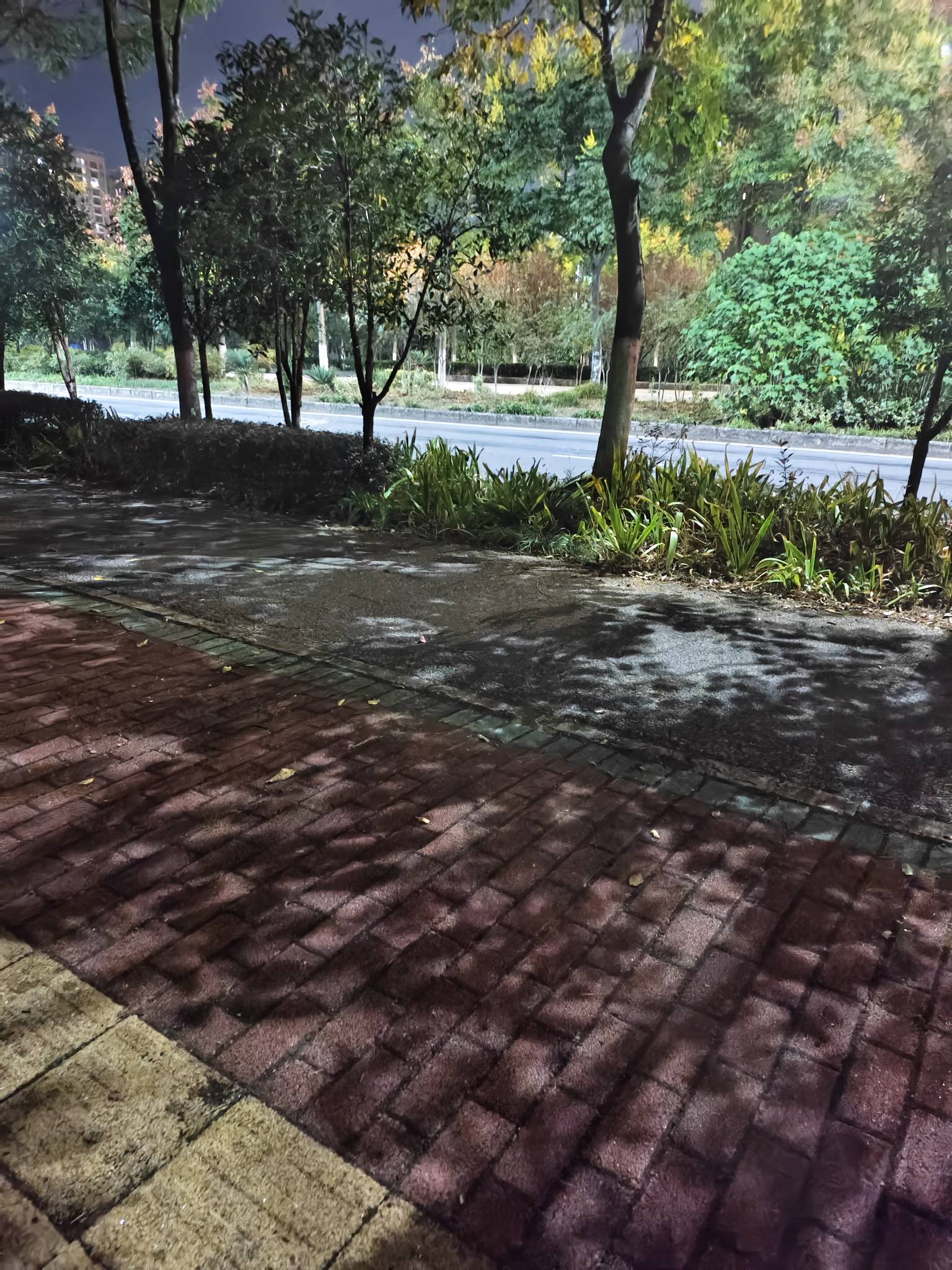 诶，挂壁仔瘫痪大街，何去何从



42 / 作者:红菜苔 / 