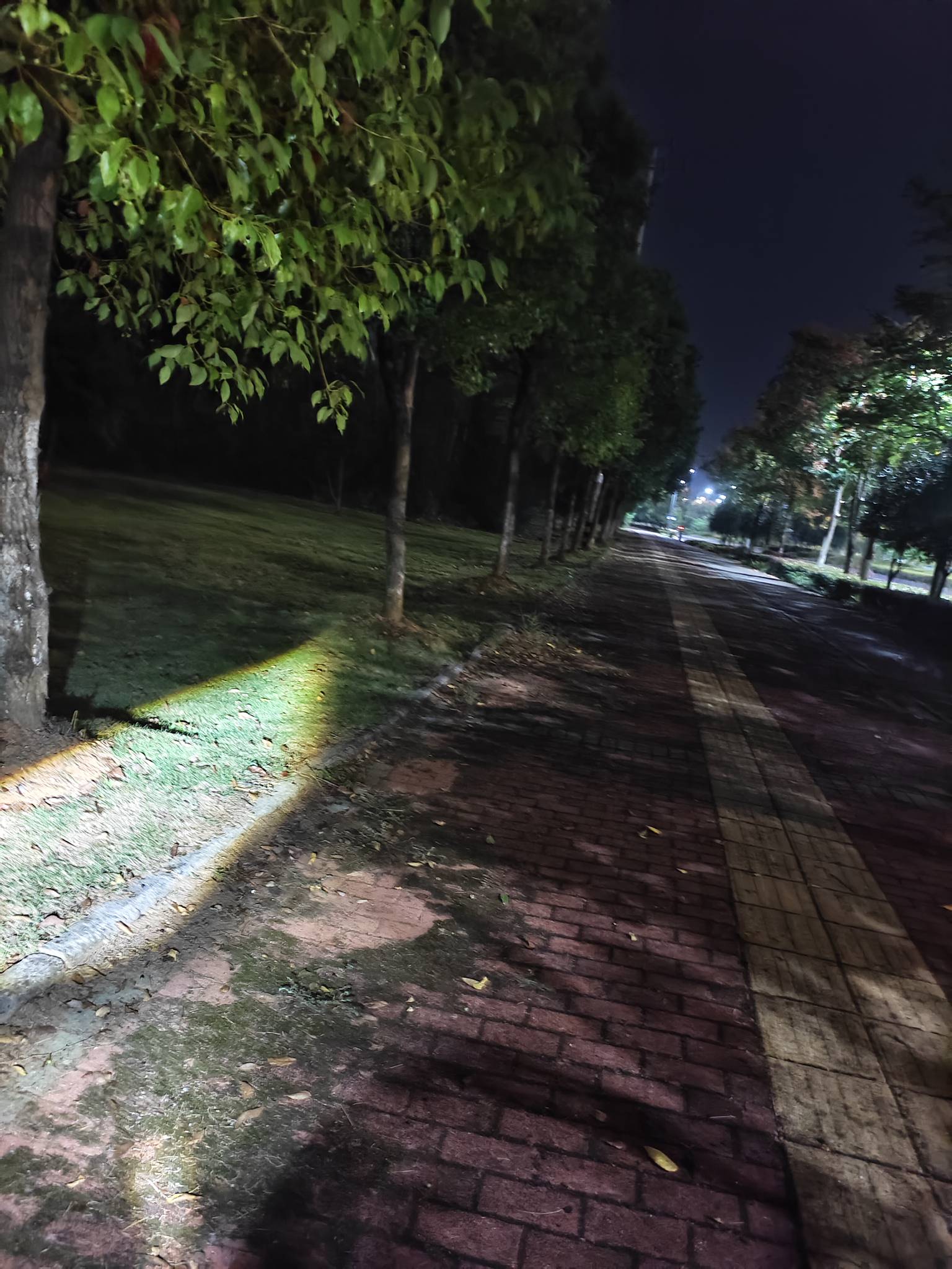 诶，挂壁仔瘫痪大街，何去何从



93 / 作者:红菜苔 / 