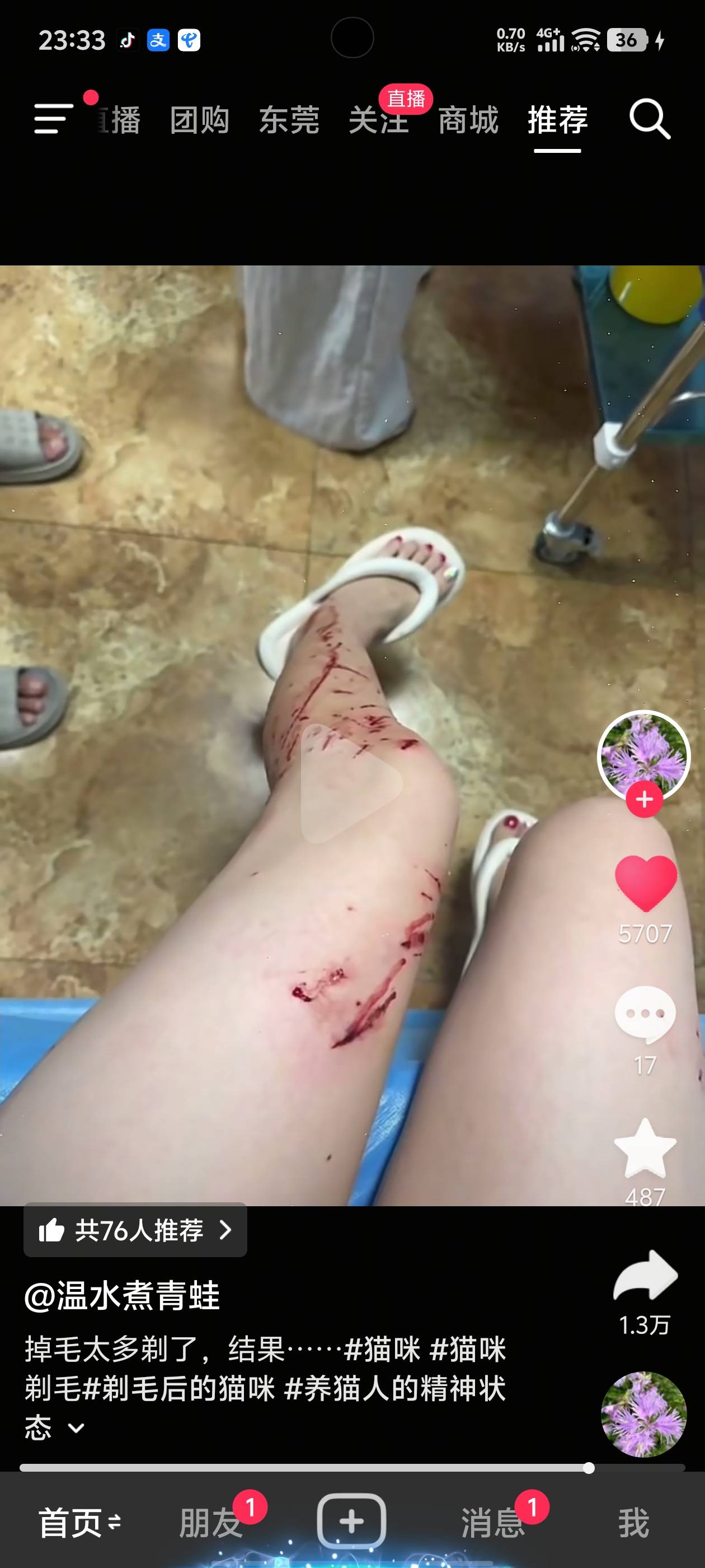 这女的是个人才。竟然给猫剃毛。挠不死你，猫听到这声音都得应激



60 / 作者:晴空免疫性 / 