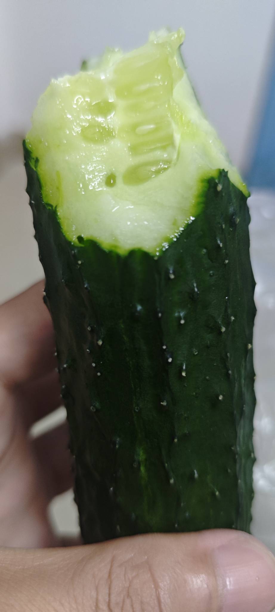 挂壁老哥饿了

35 / 作者:卡农豆包 / 